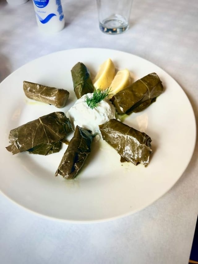 Dolmades with side Tzatziki.